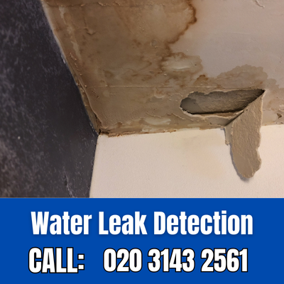 Expert Water Leak Detection Services in Islington | Islington Leak Detection